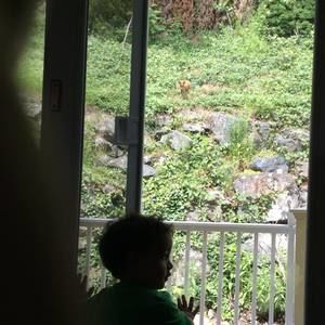 Meet your Posher, Meriem